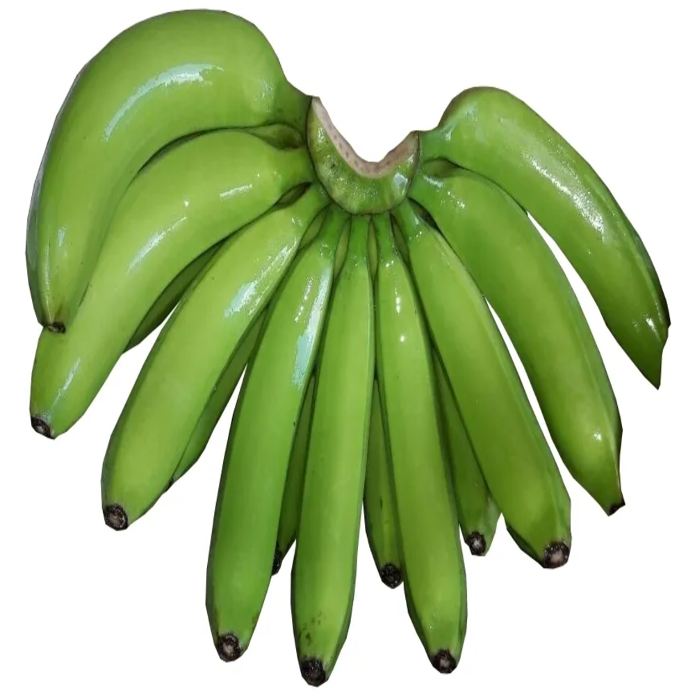 Cavendish Banana